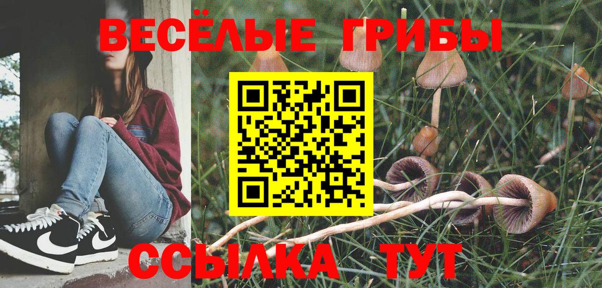 Псилоцибиновые грибы Cubensis  Вход с VPN  Сердобск 